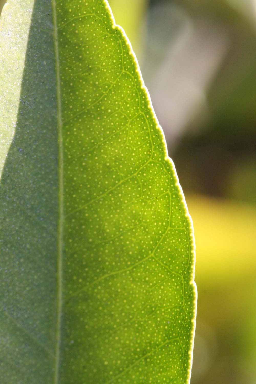              Margin (SRA 92, Riverside, CA)       